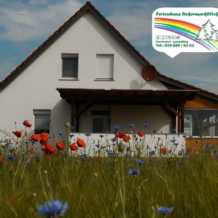 Ferienhaus-Uckermarkblick Rosenow  المظهر الخارجي الصورة
