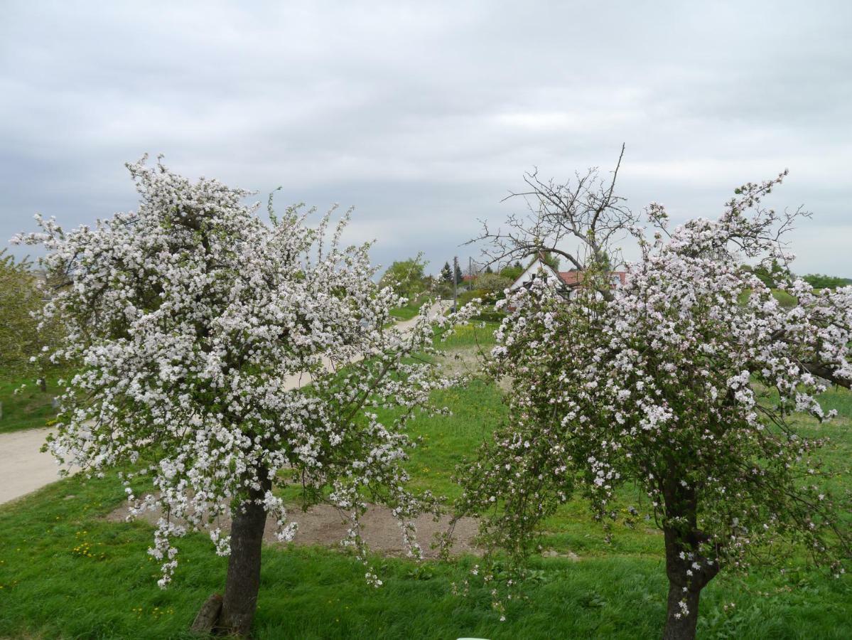 Ferienhaus-Uckermarkblick Rosenow  المظهر الخارجي الصورة