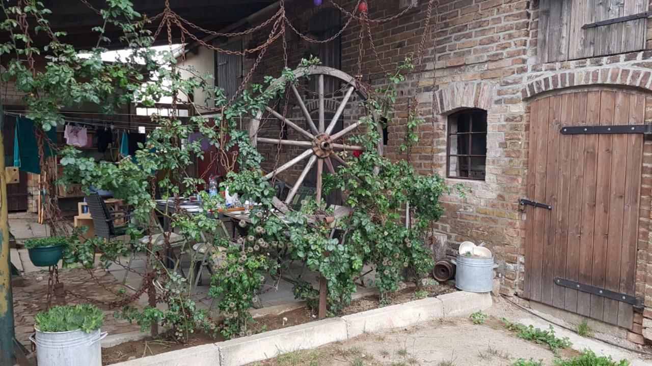 Ferienhaus-Uckermarkblick Rosenow  المظهر الخارجي الصورة
